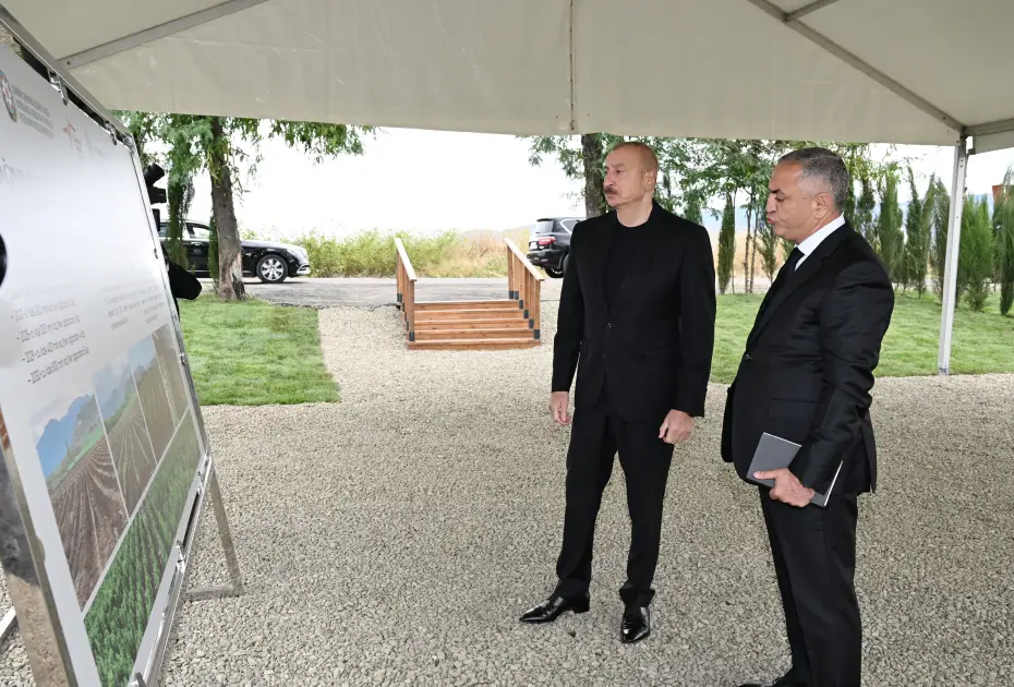 İlham Əliyev Daşbulaq kəndində tut bağında görülmüş işlərlə tanış olub
