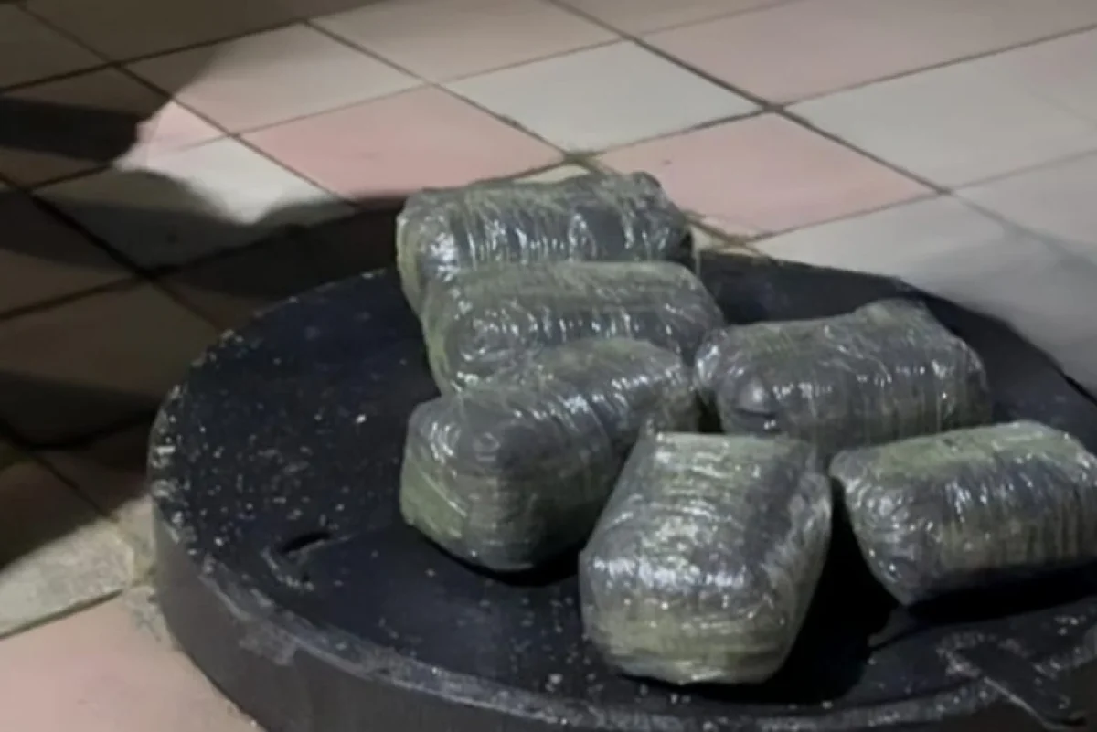 Siyəzəndə külli miqdarda narkotik vasitə dövriyyədən çıxarılıb