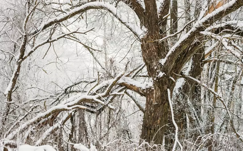 Sabah bəzi rayonlara qar yağacaq, yollar buz bağlayacaq