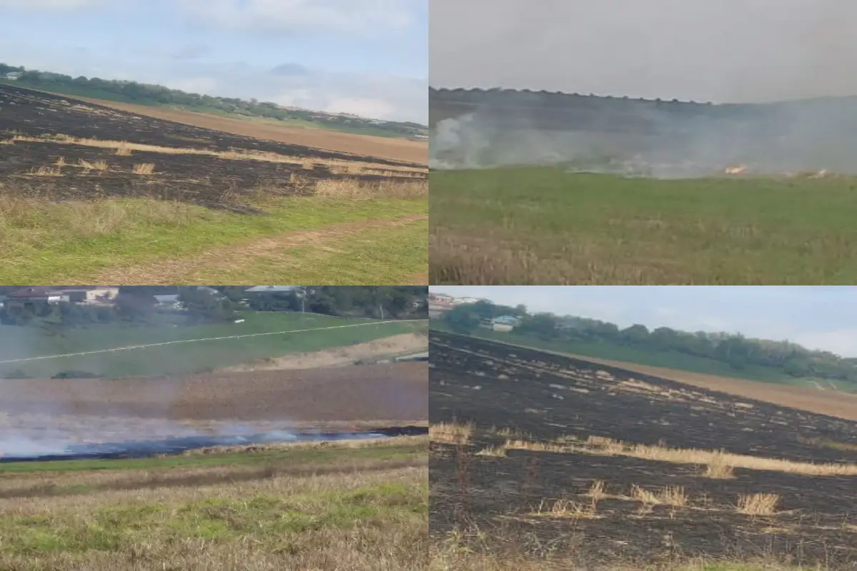 Qusarda əkin sahələrini yandıran 3 nəfər məsuliyyətə cəlb olunub