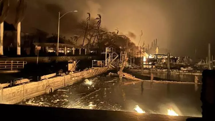 ABŞ-də meşə yanğınları - 36 nəfər həlak olub