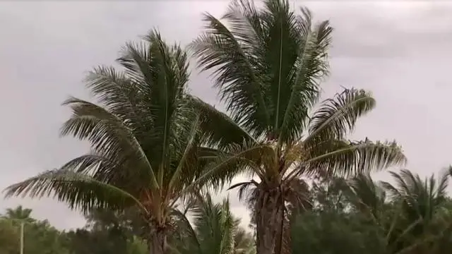 Avstraliyanı İlza qasırğası gözləyir