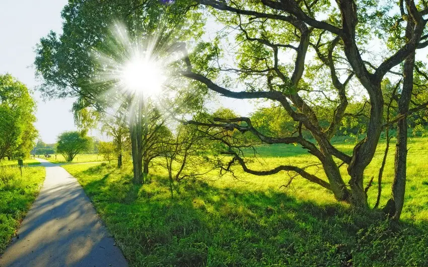 Sabah Bakıda hava günəşli keçəcək