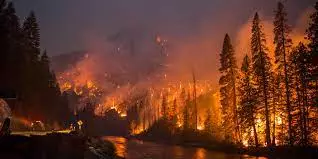 ABŞ-dəki meşə yanğınlarında ölənlərin sayı artıb