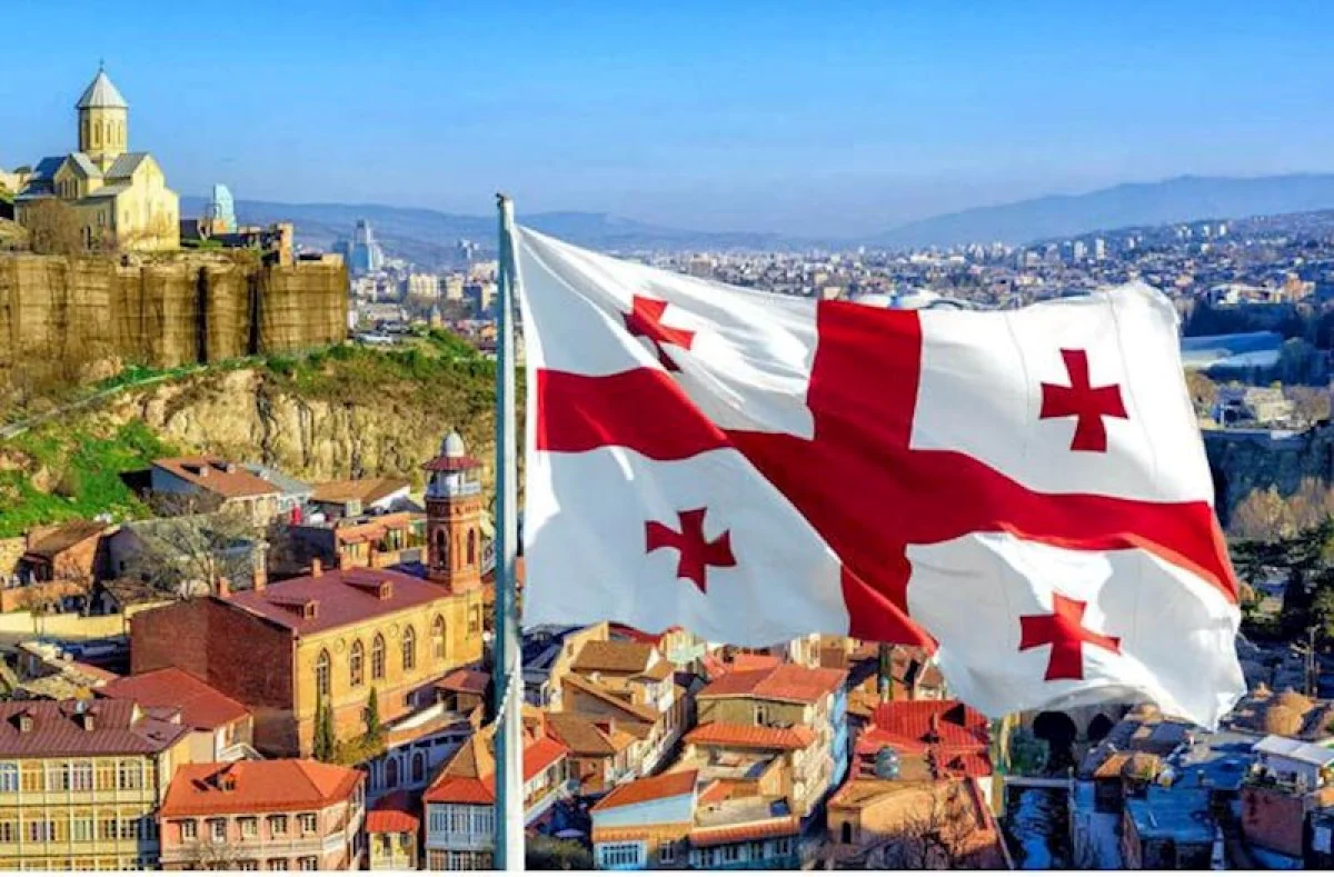 55 qanunsuz miqrant saxlanıldı: Gürcüstanda geniş əməliyyat