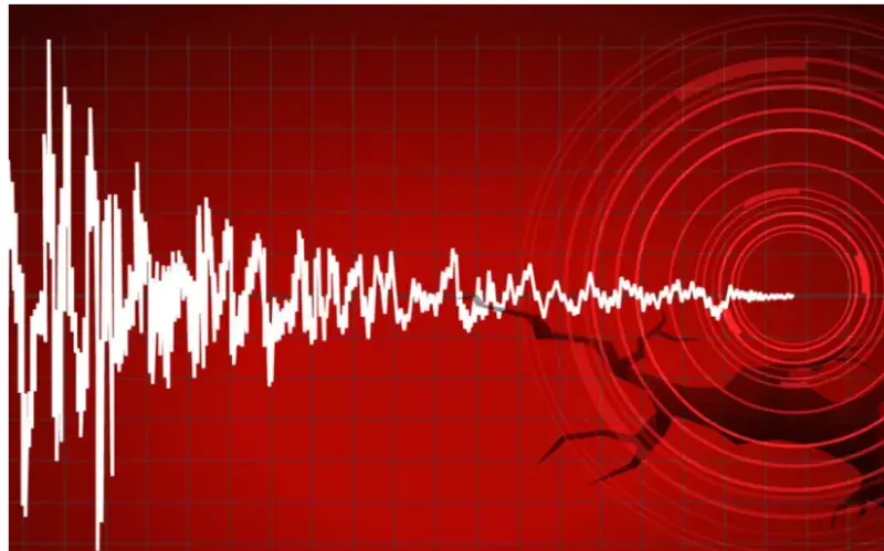 Türkiyədə 4.9 ballıq zəlzələ