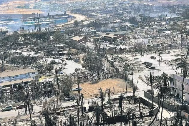 6 gündən çoxdur davam edən yanğınlar nəticəsində 93 nəfər həlak olub