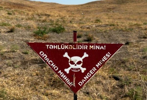 ANAMA: В Азербайджане за неделю очищено 670 гектаров территорий