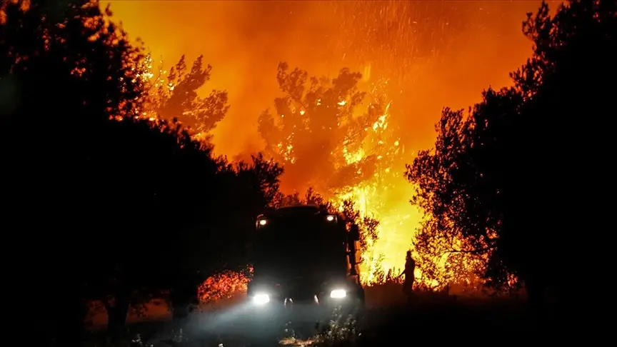 Çanaqqalada daha bir yanğın