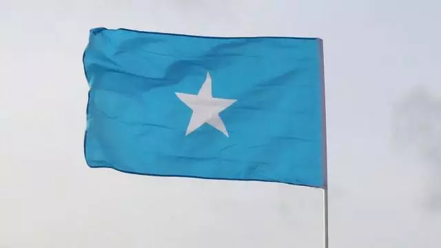Somali Türkiyə ilə imzalanan müdafiə sahəsində əməkdaşlıq müqaviləsini təsdiq edib