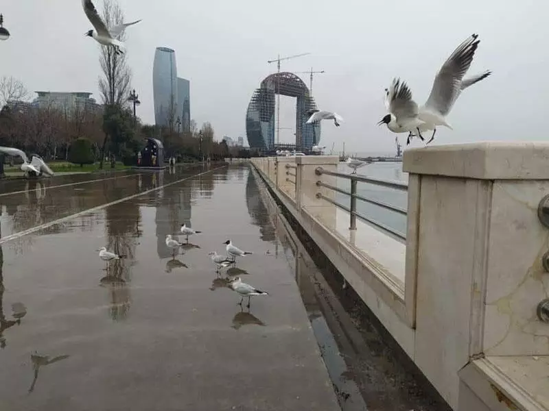 Sabahın havası açıqlanıb