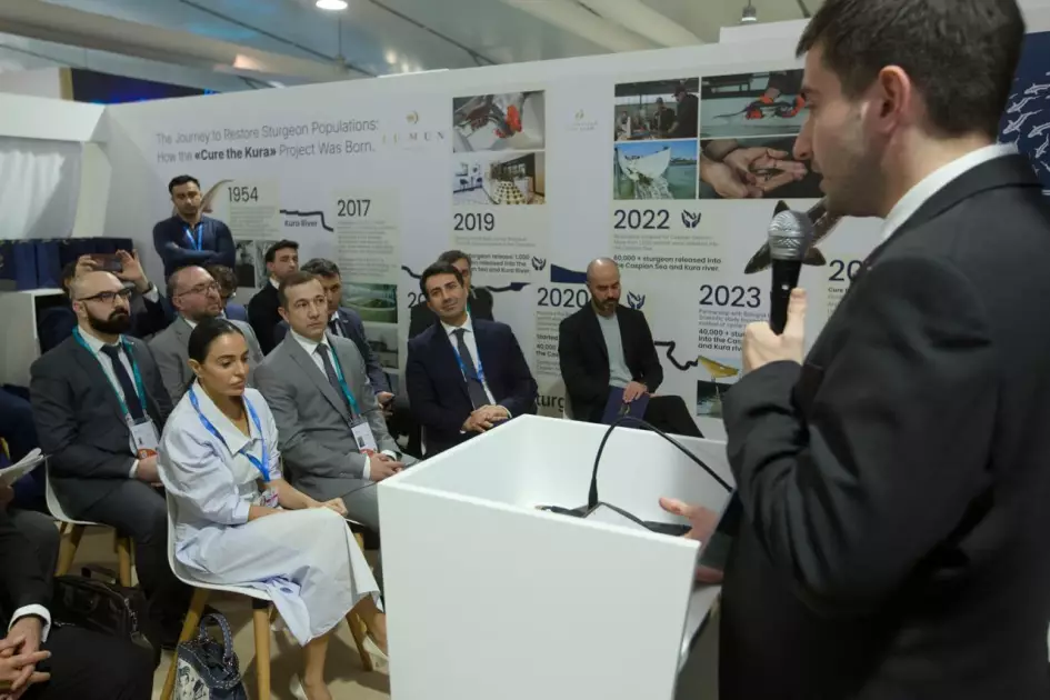 Leyla Əliyeva balıq körpələrinin suya buraxılışında iştirak edib