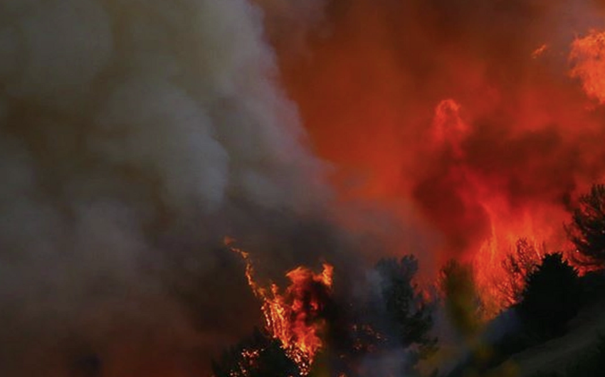 Türkiyədə meşə yanğınları başlayıb