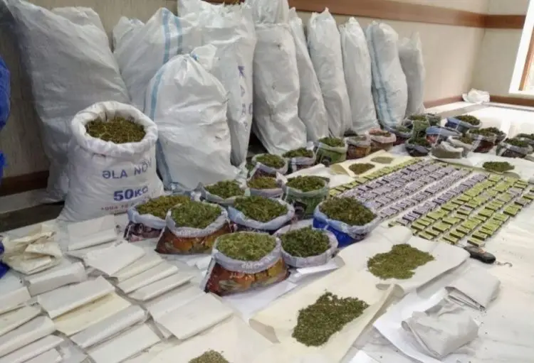 Bu ilin altı ayı ərzində 109 milyon manatlıq narkotik dövriyyədən çıxarılıb