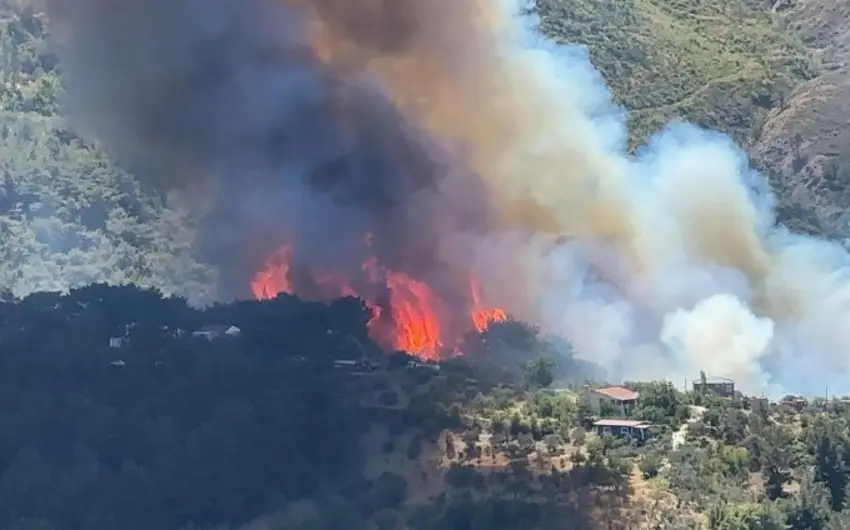 Türkiyədə meşə yanğınları ilə əlaqədar 50 mindən çox adam təxliyə edilib
