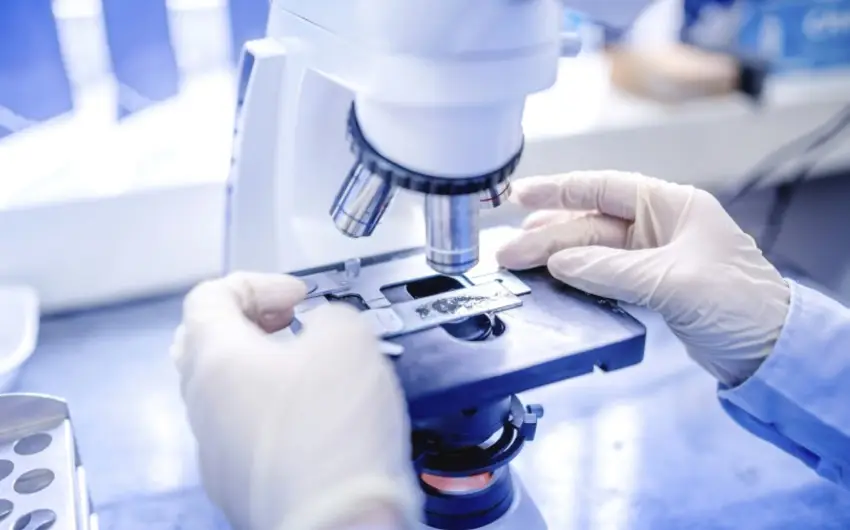 Azərbaycanda elmi tədqiqatçıların sayı məlum olub