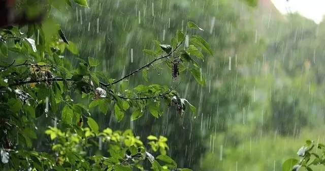 Növbəti iki gündə rayonlara leysan yağacaq, çaylardan sel keçəcək - XƏBƏRDARLIQ