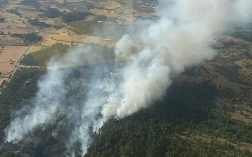 Çanaqqalada meşədə yanğın başlayıb