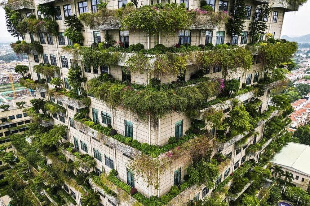 Çində "Şaquli meşə"