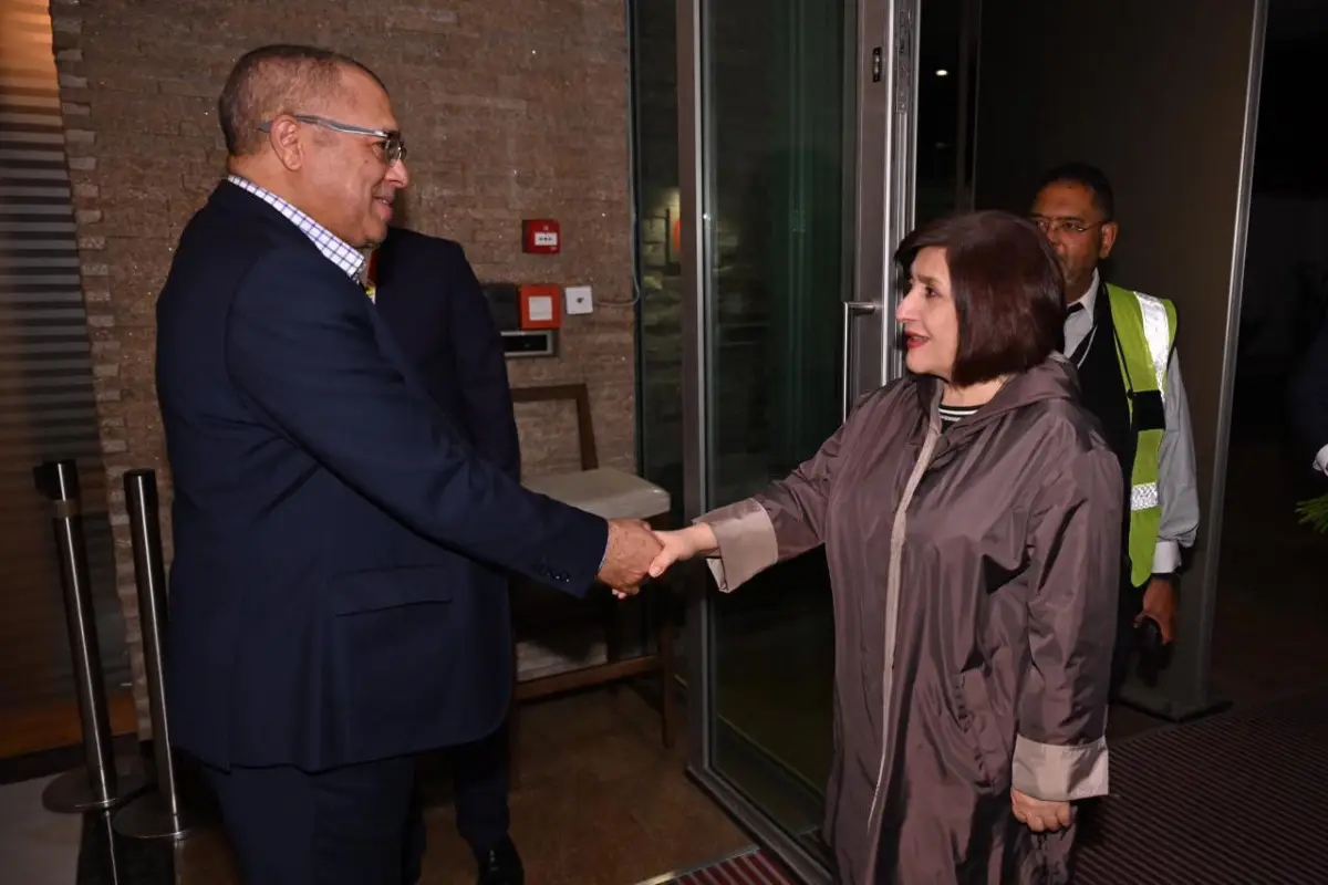 Milli Məclisin sədri CAR-a işgüzar səfər edib