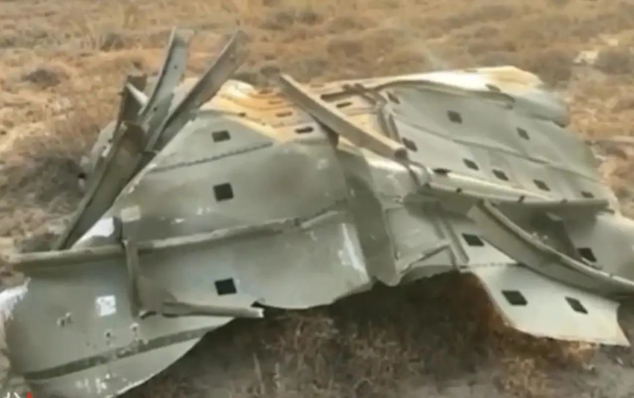 Türkiyə MN: Gürcüstanda qəzaya uğrayan təyyarədə hərbi sursat olmayıb - YENİLƏNİB