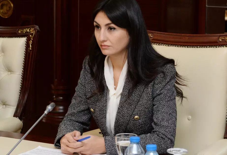 Bakıda karbon qiymətləndirilməsi üzrə beynəlxalq konfrans keçiriləcək