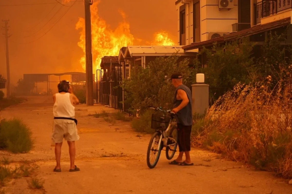 Ötən gün Türkiyədə 3-ü hələ də davam edən 77 meşə yanğını baş verib - FOTO