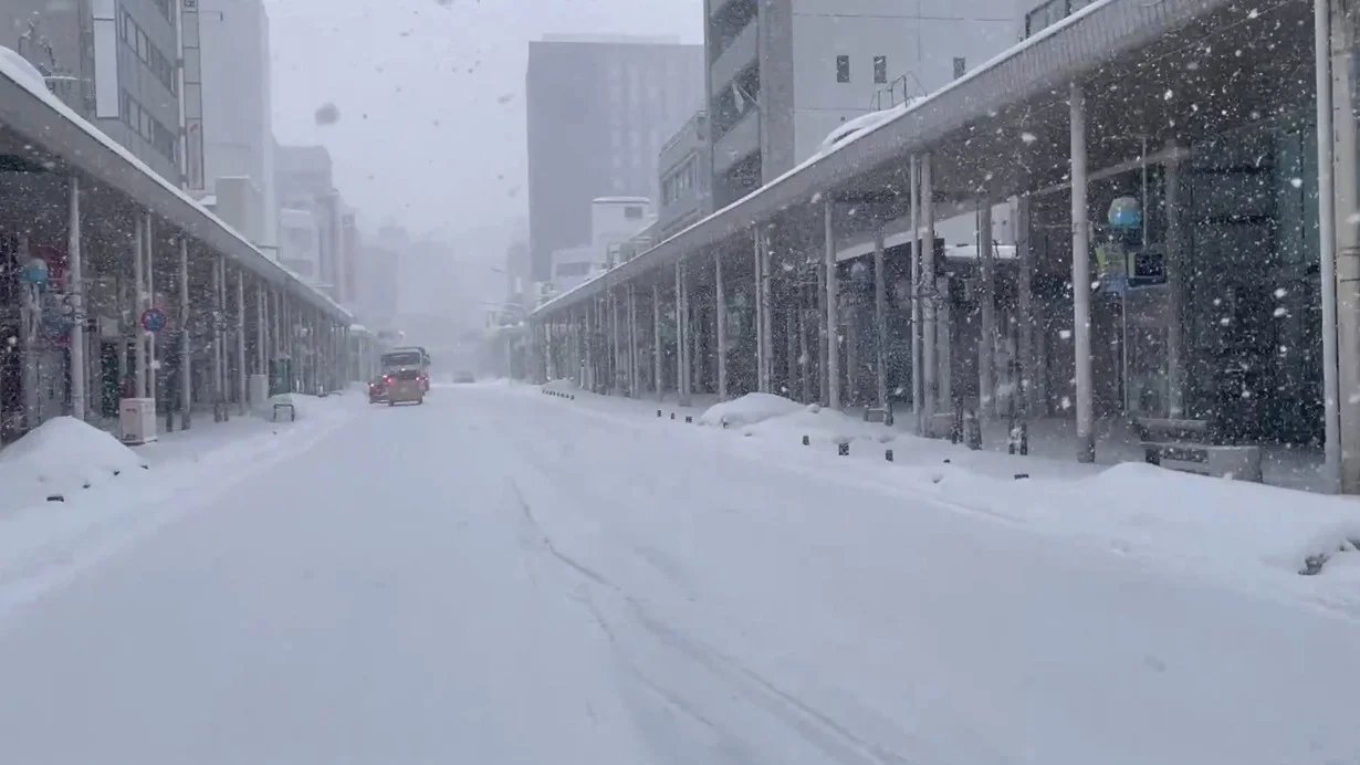 Yaponiyada şiddətli qar fəsadlar törədib: 45 nəfər həlak olub