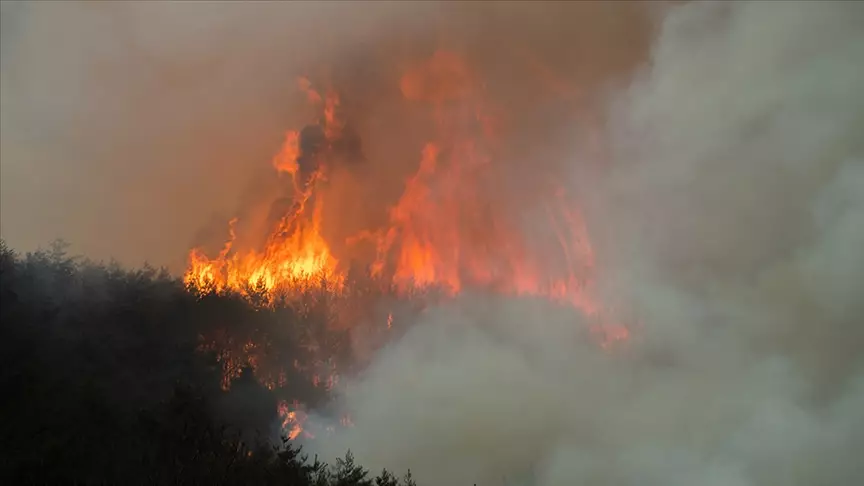 Cənubi Koreyada meşə yanğını ilə əlaqədar sakinlər təxliyə edilir