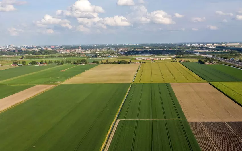 Azərbaycanda bəzi şəxslər bələdiyyə torpaqlarından təyinatına zidd istifadə ediblər