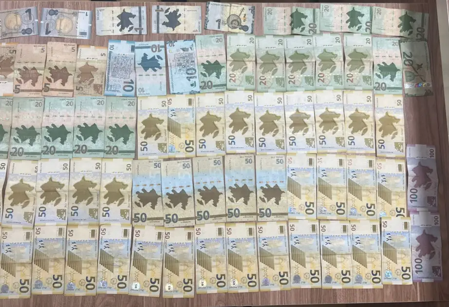 Naxçıvanda oğurluq etməkdə şübhəli bilinən şəxslər saxlanılıb