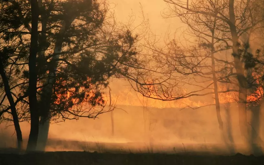Çilidə meşə yanğınları nəticəsində ölənlərin sayı 131-ə çatıb