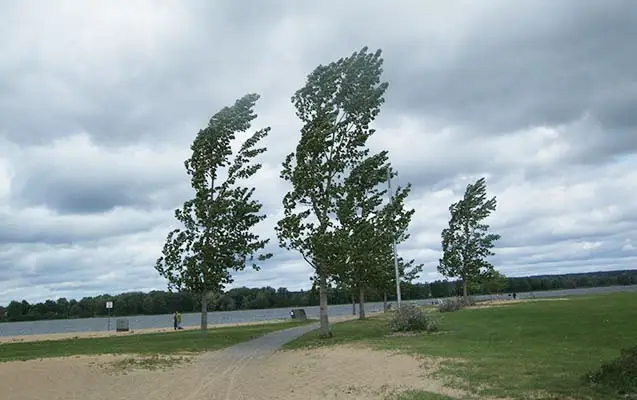 Küləklə bağlı xəbərdarlıq