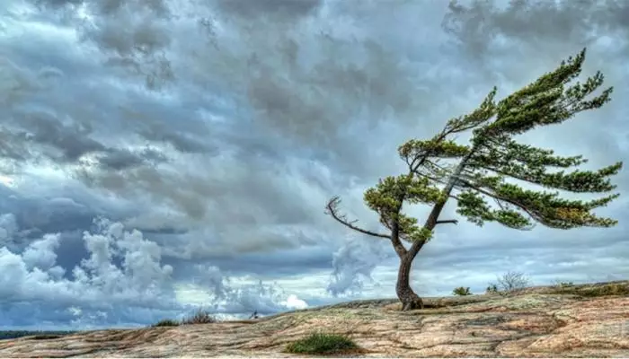 Hava ilə bağlı XƏBƏRDARLIQ EDİLDİ