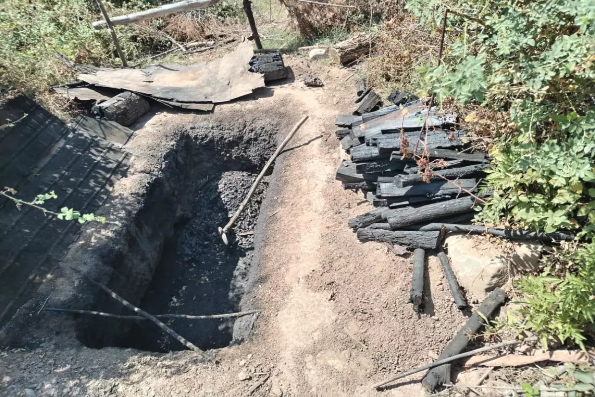 Oğuzda qanunsuz fəaliyyət göstərən kömür quyuları aşkarlanıb
