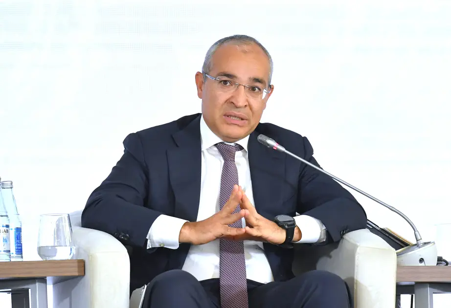 Nazir: İtaliya Azərbaycanın əsas ticarət və iqtisadi tərəfdaşıdır