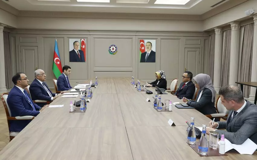 Baş nazir Əli Əsədov İndoneziyanın inzibati və bürokratik islahatlar naziri ilə görüşüb