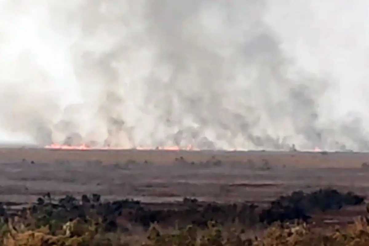 Cəlilabadda ovçuluq təsərrüfatında yanğın başlayıb