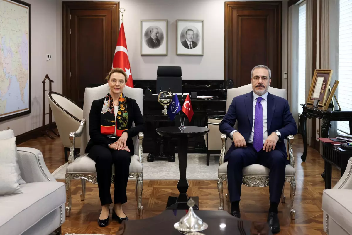Hakan Fidan Avropa Şurasının Baş katibi ilə görüşüb