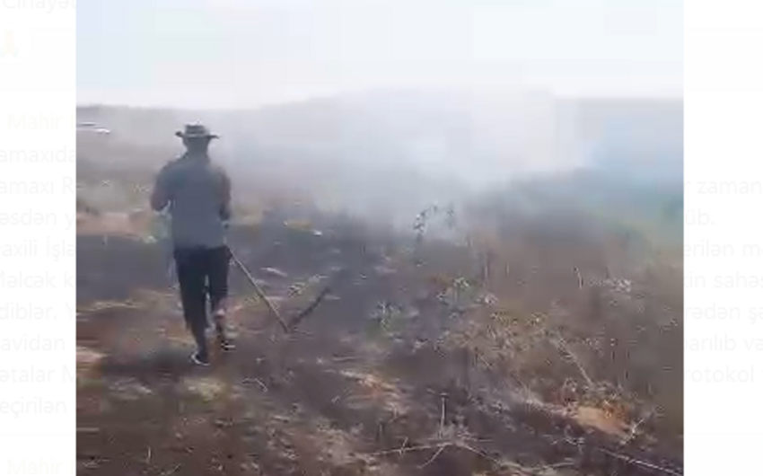 Şamaxıda biçilmiş əkin sahəsini yandıran şəxslər müəyyən olunub