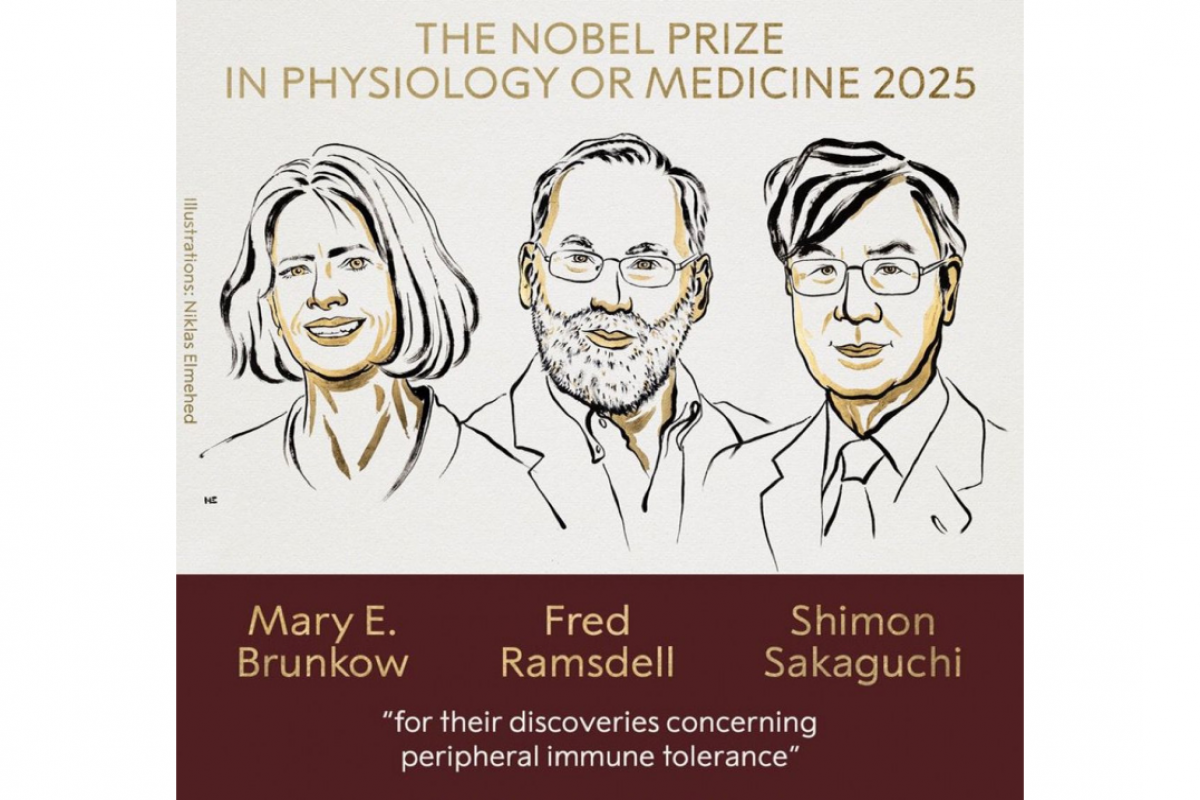 Tibb üzrə Nobel mükafatı laureatları məlum olub