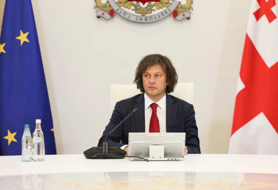 Премьер-министр Грузии не приглашен на Давосский форум