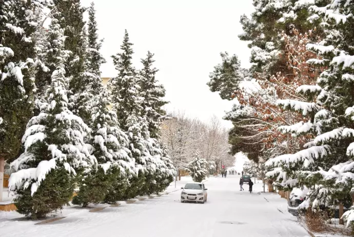 Ölkə ərazisində 11 dərəcəyədək şaxta qeydə alınıb - FAKTİKİ HAVA