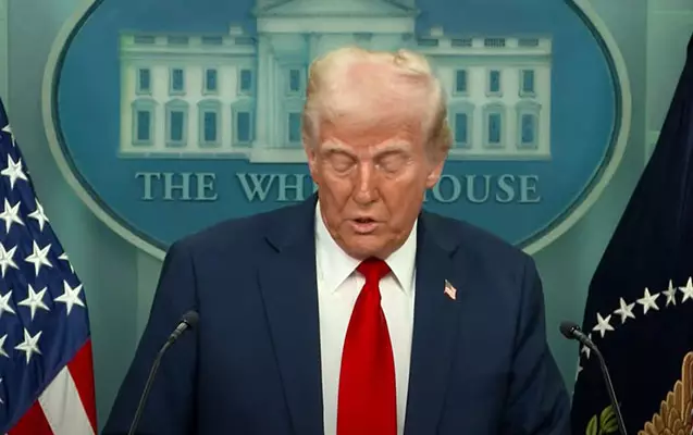 Təyyarə qəzasında sağ qalan yoxdur