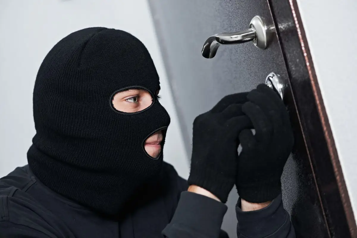 Abşeron və Qaradağda silsilə oğurluq edənslər saxlanılıb