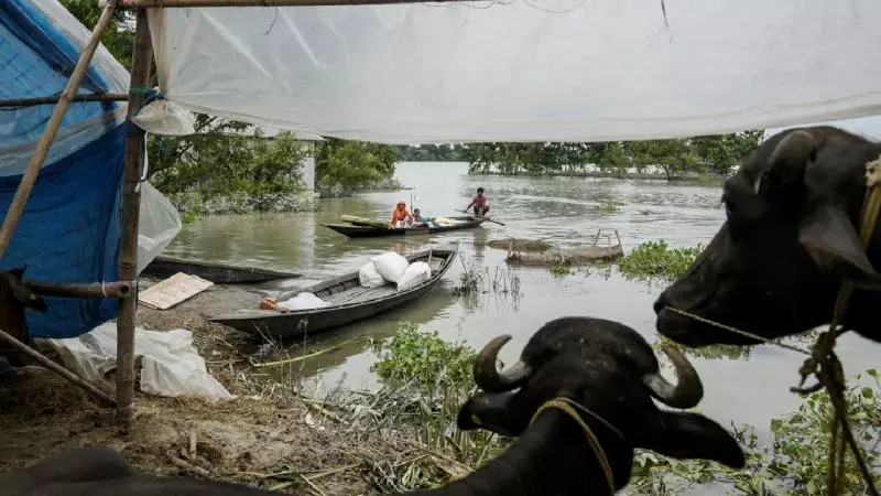 Hindistanda baş verən sel nəticəsində 115 min nəfər zərər çəkib