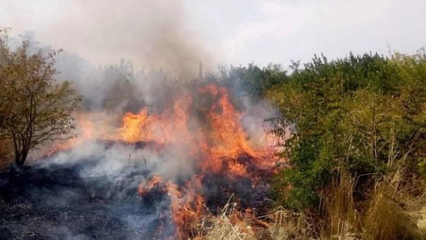 Ağdərədə dağlıq ərazidə yanğın olub