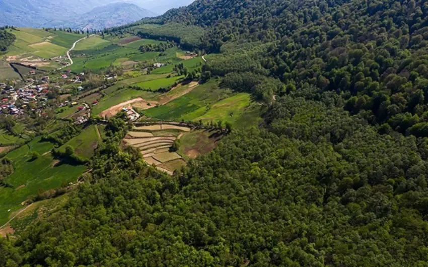 KİV: İran ərazisində Hirkan meşələri talan edilir