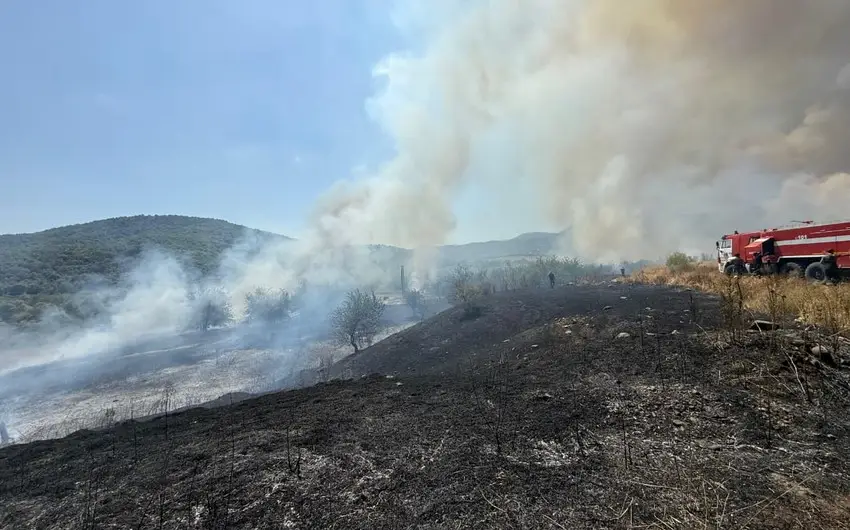 Xocalıda yanğına səbəb olan şəxs saxlanılıb