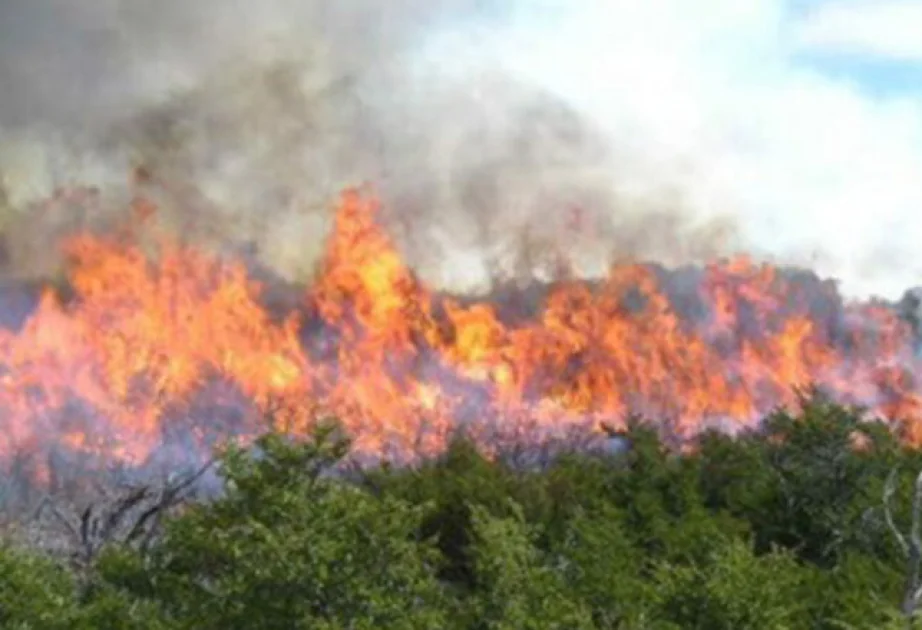 FHN: Cəbrayıl və Füzuli rayonlarının açıq ərazilərində yanğınlar qeydə alınıb